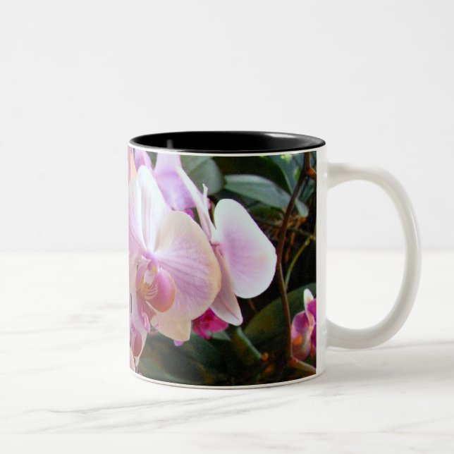 De Café Em Dois Tons Caneca 6 da orquídea (Direita)