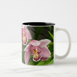 De Café Em Dois Tons Caneca 8 da orquídea