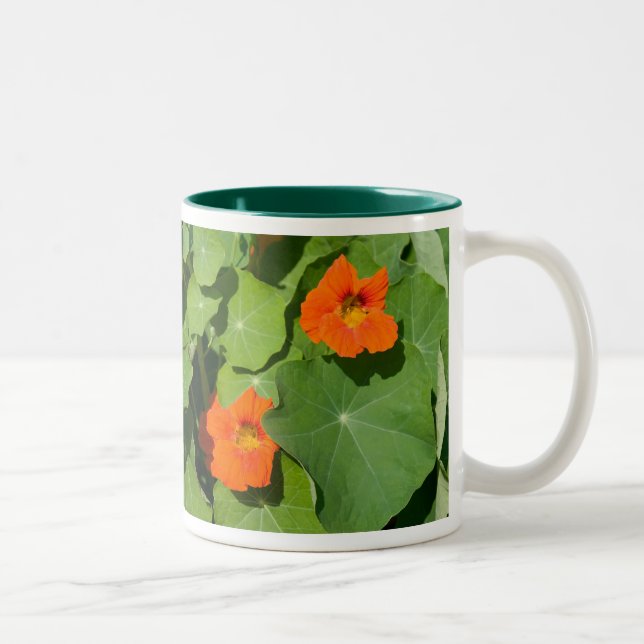 De Café Em Dois Tons Caneca alaranjada da chagas (Direita)