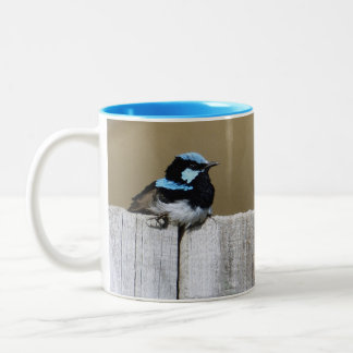 De Café Em Dois Tons Caneca Azul