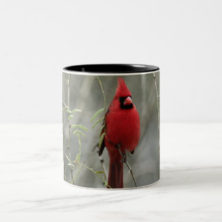 De Café Em Dois Tons Caneca cardinal lindo da foto