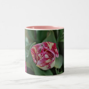 De Café Em Dois Tons Caneca com uma tulipa