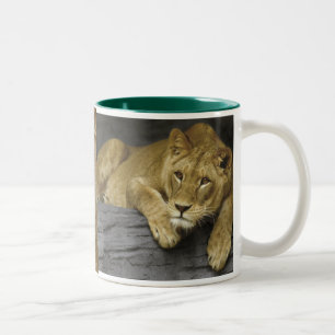 De Café Em Dois Tons Caneca da foto da leoa