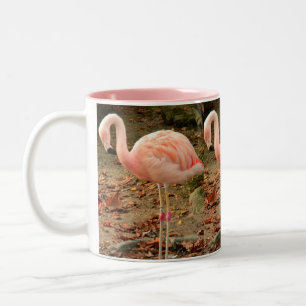 De Café Em Dois Tons Caneca da foto do flamingo 3
