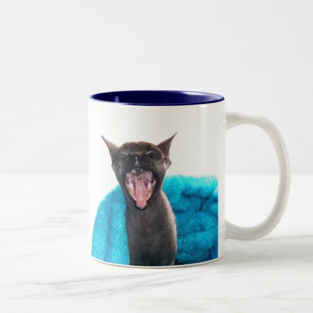 De Café Em Dois Tons Caneca da luz do sol do bom dia (Direita)