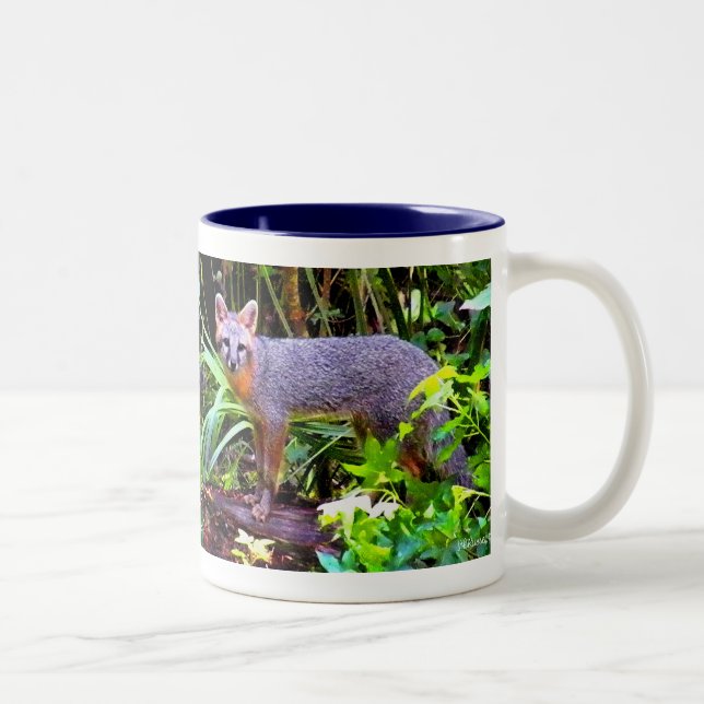 DE CAFÉ EM DOIS TONS CANECA DA RAPOSA (Direita)