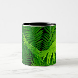De Café Em Dois Tons Caneca da samambaia