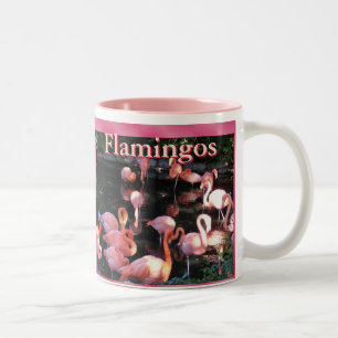 De Café Em Dois Tons Caneca do flamingo