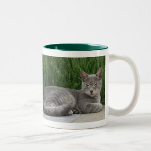 De Café Em Dois Tons Caneca do gato