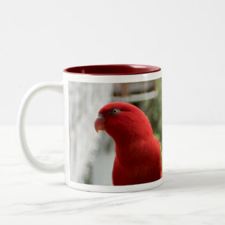 De Café Em Dois Tons Caneca do Lory