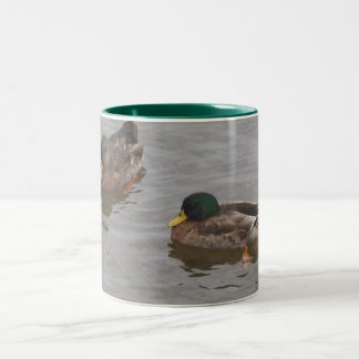 De Café Em Dois Tons Caneca do pato