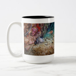De Café Em Dois Tons Caneca do Polvo