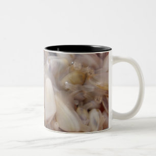 De Café Em Dois Tons Caneca dos moluscos