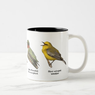 De Café Em Dois Tons Caneca dos pássaros