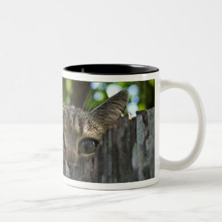 De Café Em Dois Tons Caneca feroz do Isis do gato