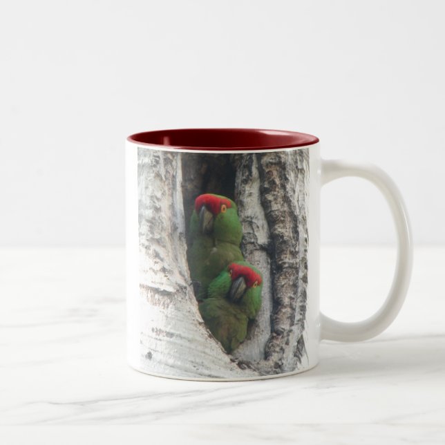 De Café Em Dois Tons caneca Grosso-faturada do papagaio, (Direita)