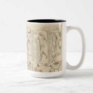 De Café Em Dois Tons Caneca humana da anatomia do vintage