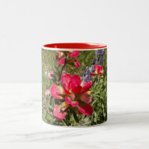 Caneca Indian Paintbrush