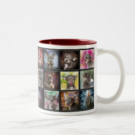 De Café Em Dois Tons Caneca insolente da chihuahua