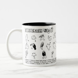 De Café Em Dois Tons Caneca interessante dos peixes-boi