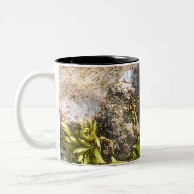 De Café Em Dois Tons Caneca Moss Rock (Esquerda)