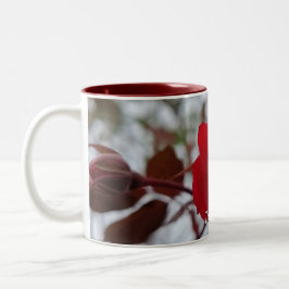 De Café Em Dois Tons Caneca O Coração do Inverno