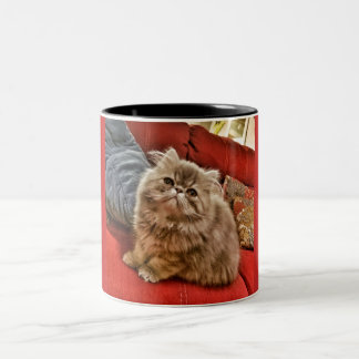 De Café Em Dois Tons Caneca persa do gatinho