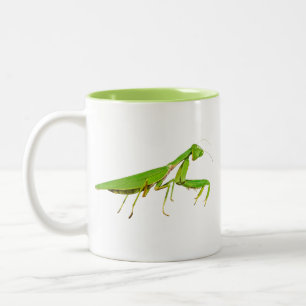 De Café Em Dois Tons Caneca verde gigante da louva-a-deus Praying