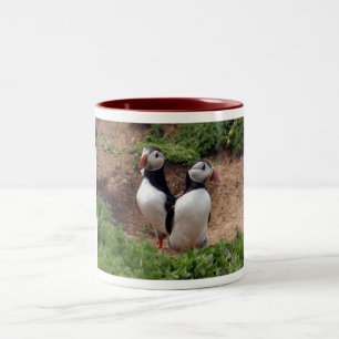 De Café Em Dois Tons Encontre sua caneca perfeita do papagaio-do-mar do