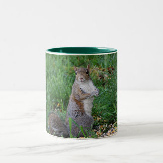 De Café Em Dois Tons Esquilo que senta-se acima da caneca