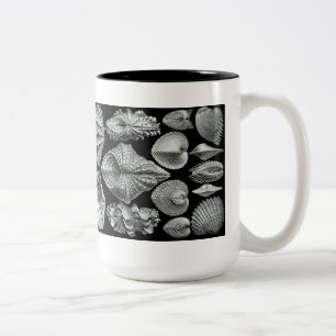 De Café Em Dois Tons Haeckel descasca a caneca