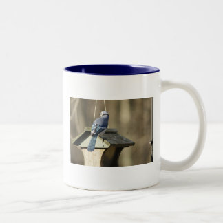 De Café Em Dois Tons Jay azul empluma-se a caneca