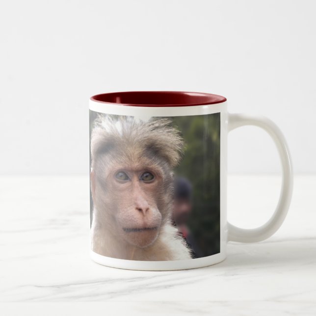 De Café Em Dois Tons Macaco que olha a caneca (Direita)