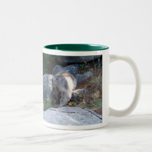 De Café Em Dois Tons Marmota bonito -- Caneca suíça