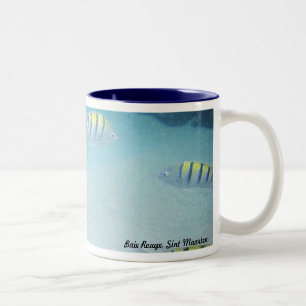 De Café Em Dois Tons Nadar com caneca dos peixes