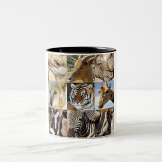 De Café Em Dois Tons O animal selvagem enfrenta a caneca