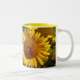 De Café Em Dois Tons O girassol floresce a caneca floral do jardim