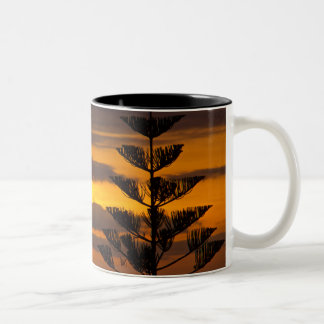 De Café Em Dois Tons Por do sol canarino, Tenerife, caneca do Dois-tom