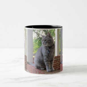 De Café Em Dois Tons Russ a caneca do gato