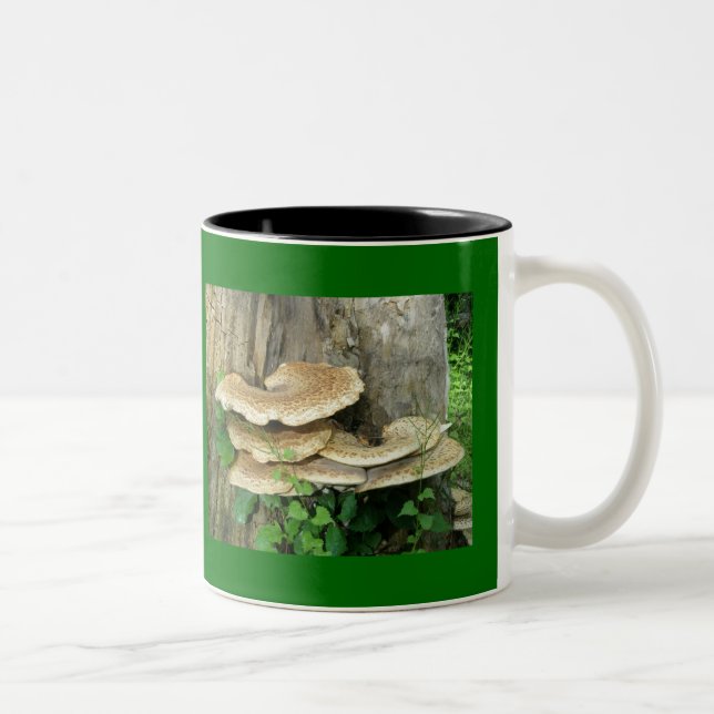 De Café Em Dois Tons Shelf Fungus 11 Oz. Caneca (Direita)