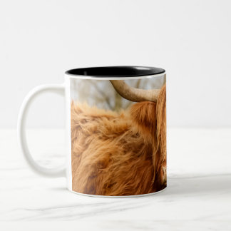 De Café Em Dois Tons vaca Highland Duas caneca