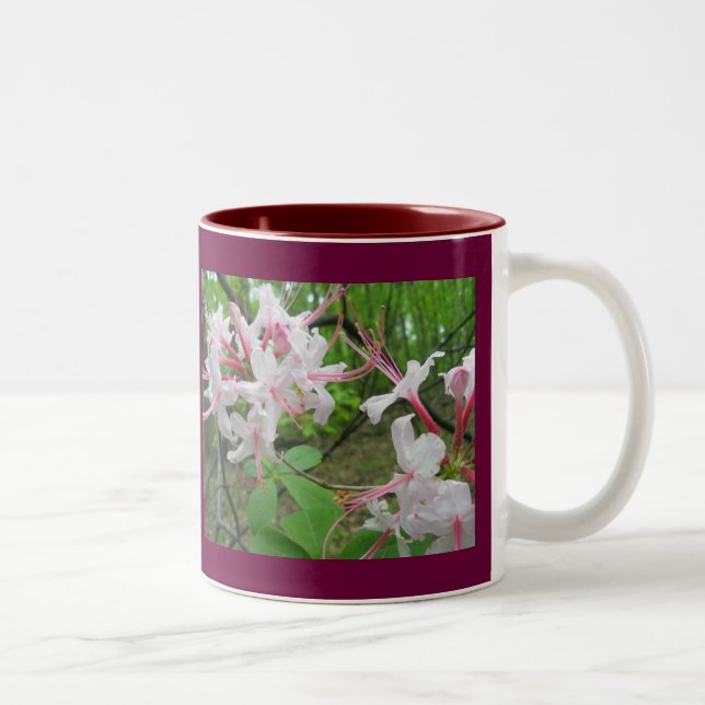 De Café Em Dois Tons Wild Azalea 11 Oz. Caneca (Direita)