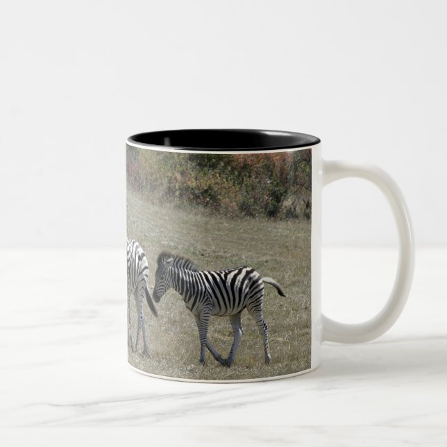 De Café Em Dois Tons Zebras na caneca do movimento (Direita)
