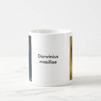 De Café Esta caneca não falta
