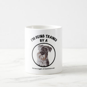 De Café Estou sendo treinado por uma caneca Schnauzer