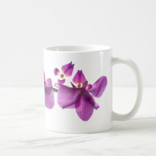 De Café Fileira da orquídea no branco caneca branca