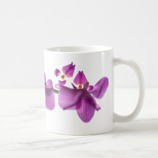 De Café Fileira da orquídea no branco caneca branca