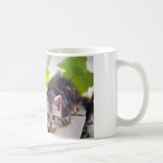 De Café Gato & caneca dos melhores amigos do coelho