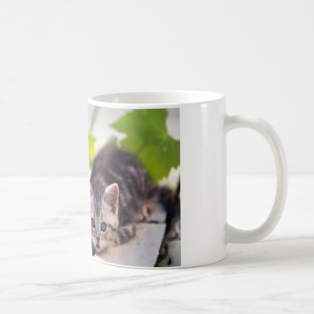 De Café Gato & caneca dos melhores amigos do coelho (Direita)