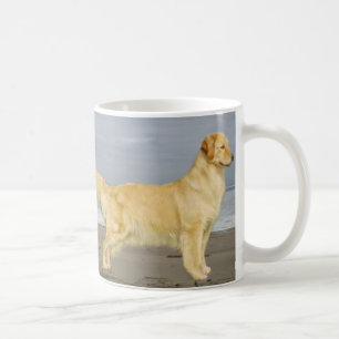 De Café Golden retriever na caneca da praia